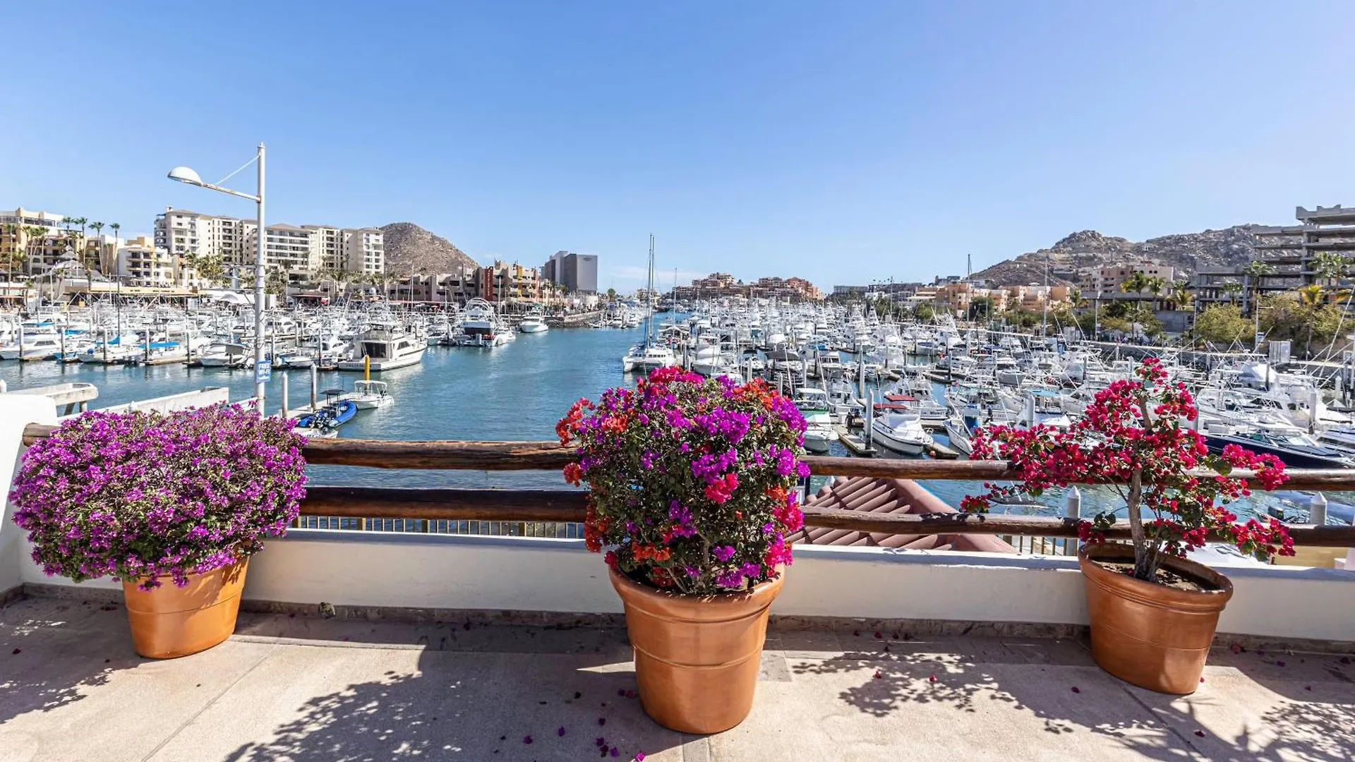 Amazing Condo Overlooking Cabo Marina Pool Access Кабо-Сан-Лукас Дом отдыха